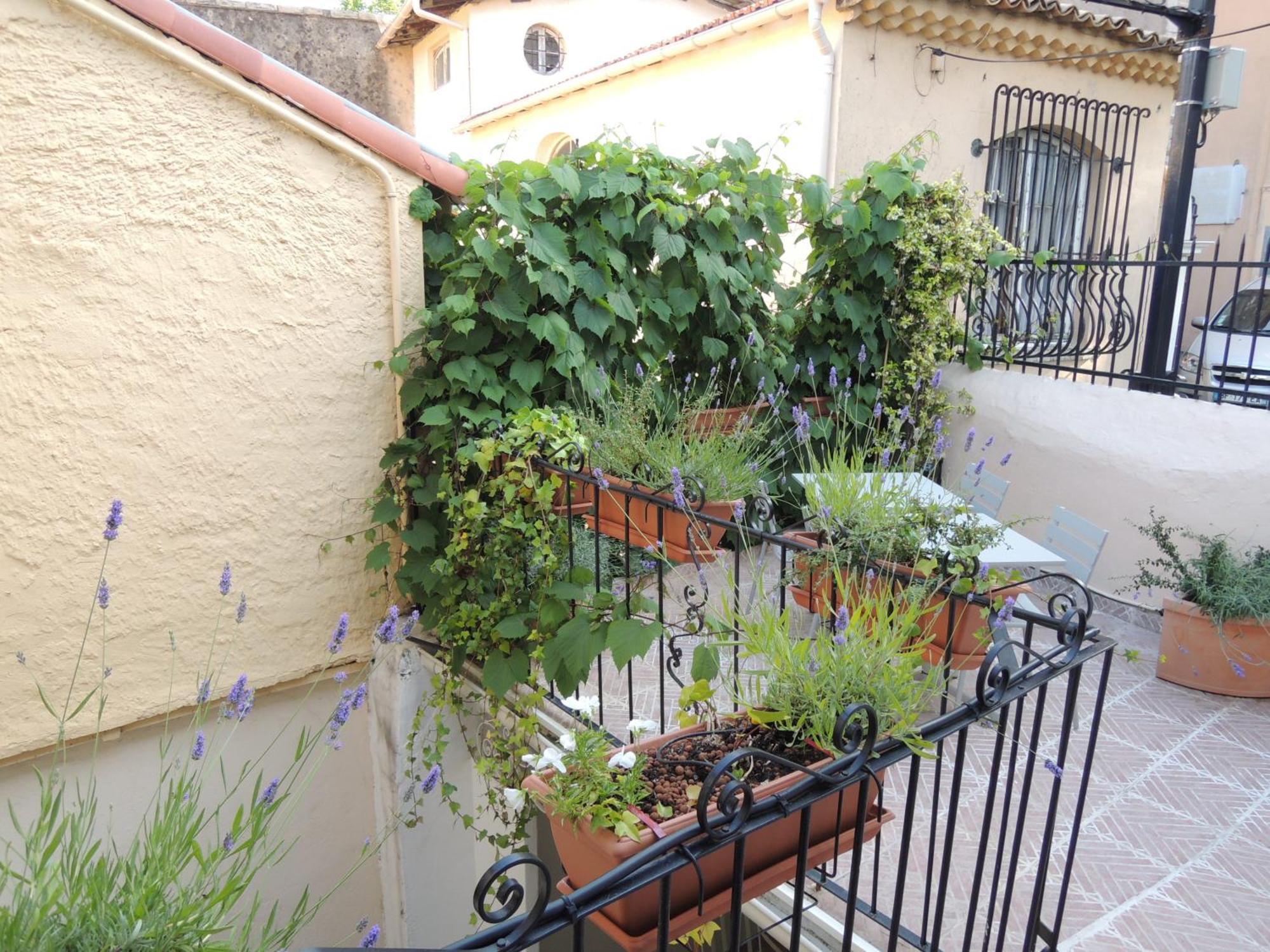 Acci Cannes Old City Quarto foto